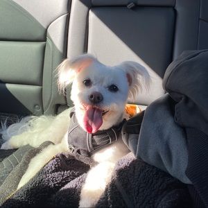 Meet your Posher, Michael